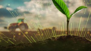 A growing seedling assisted by data