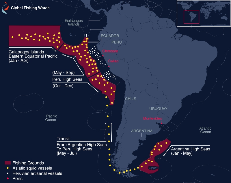 Squid fleet route between the Pacific Ocean and South Atlantic Ocean. © Global Fishing Watch
