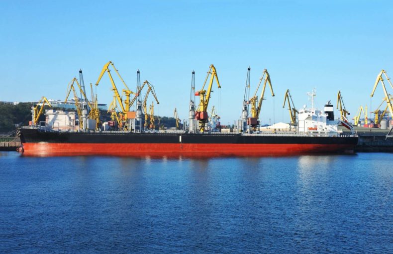 Bulk cargo ship under port crane bridge