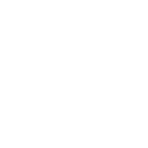 Via Satellite logo