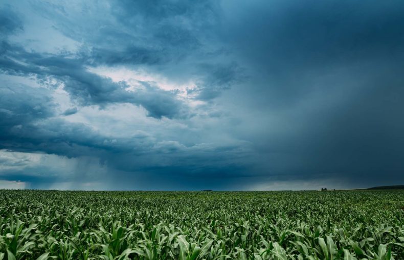 Local weather forecast data with rain clouds on horizon over field of crops