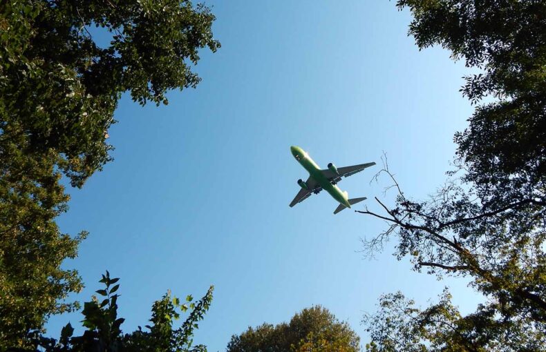 Plane in the blue sky between the trees