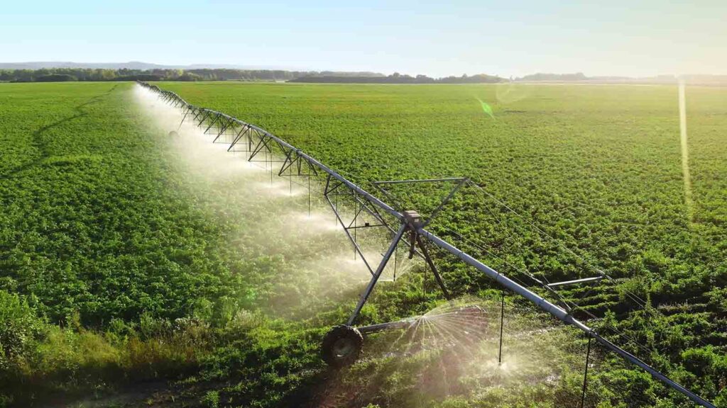 Irrigation system at work watering crop in field at farm