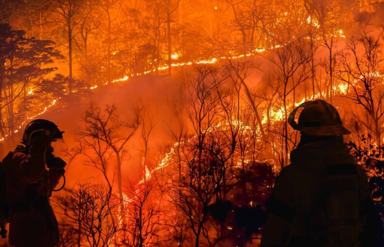 Firefighters battle a wildfire