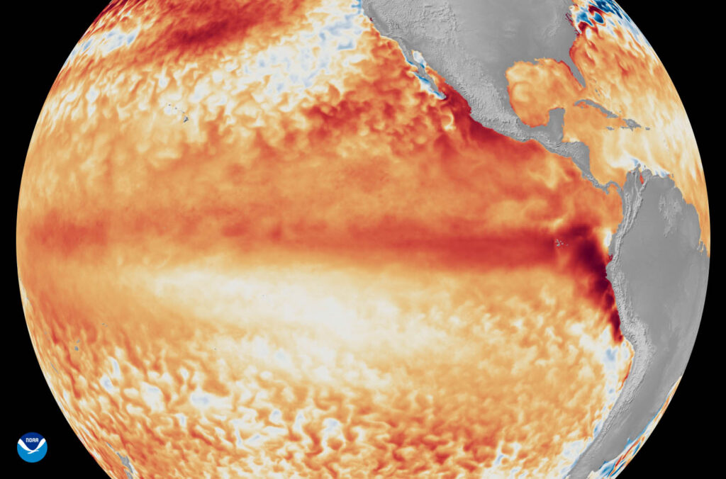 Sea surface temperature anomalies across the equatorial tropical Pacific Ocean during the first week of June 2026